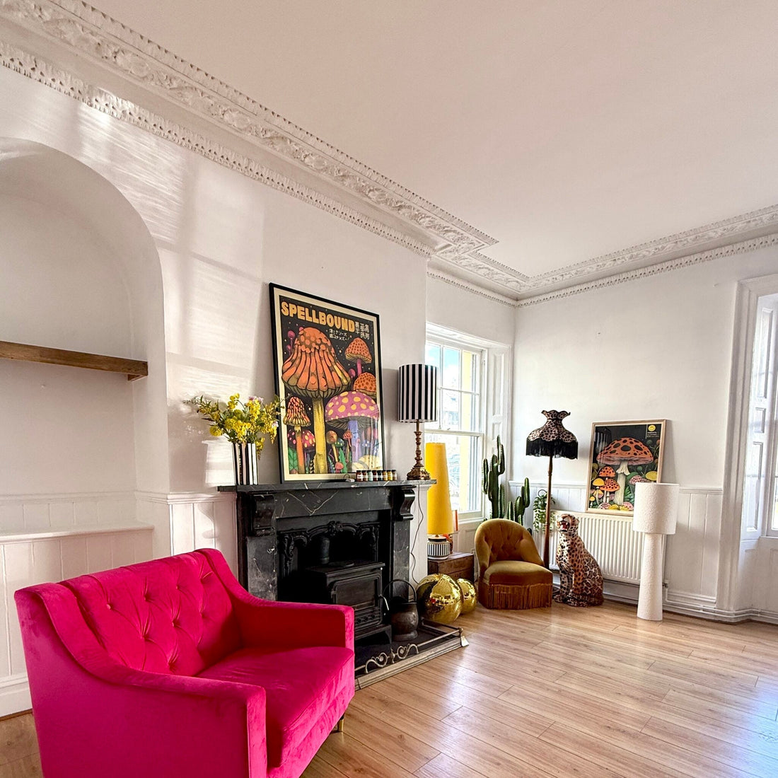 The Love Frankie House: A New Chapter Begins