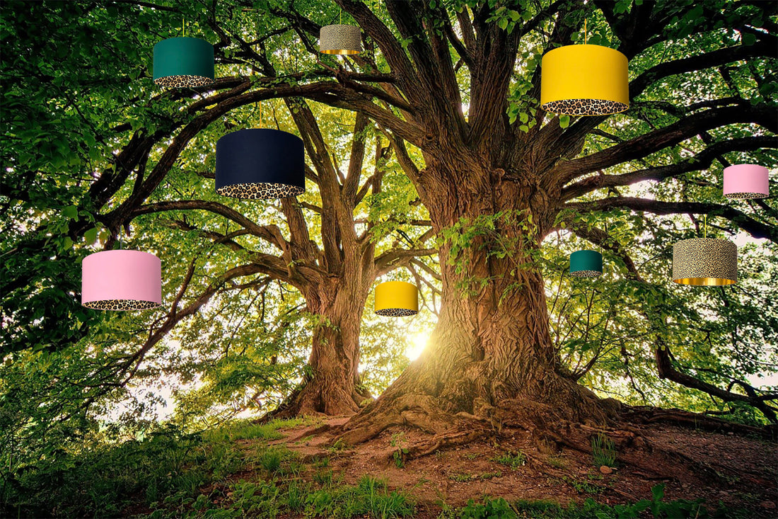 They Say Lampshades Don't Grow On Trees....