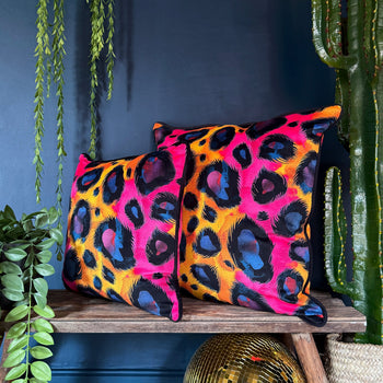 All Cushions
