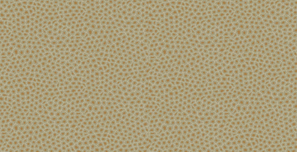 Cole & Son Ardmore Collection Senzo Spot Wallpaper - Olive - 6029