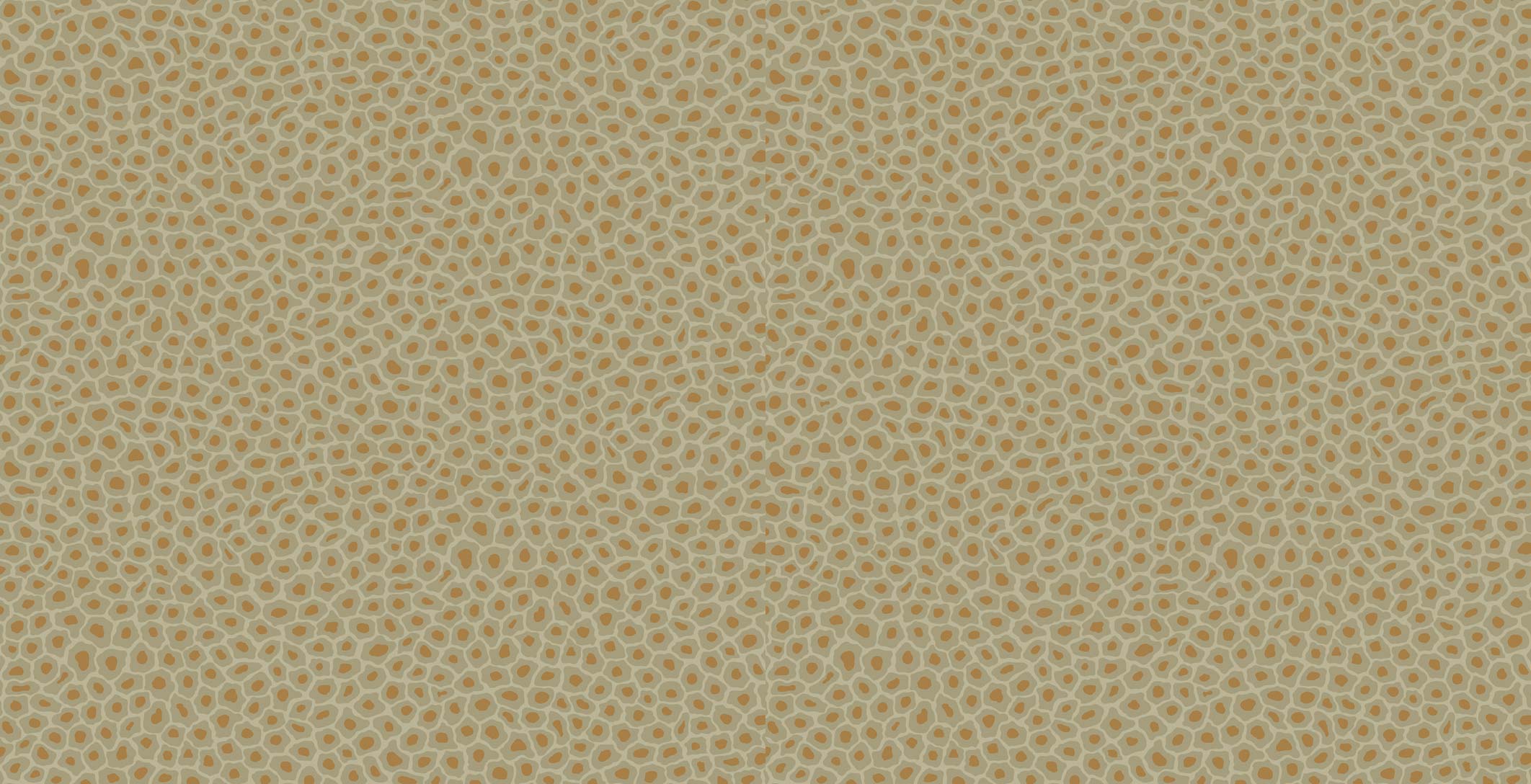 Cole & Son Ardmore Collection Senzo Spot Wallpaper - Olive - 6029