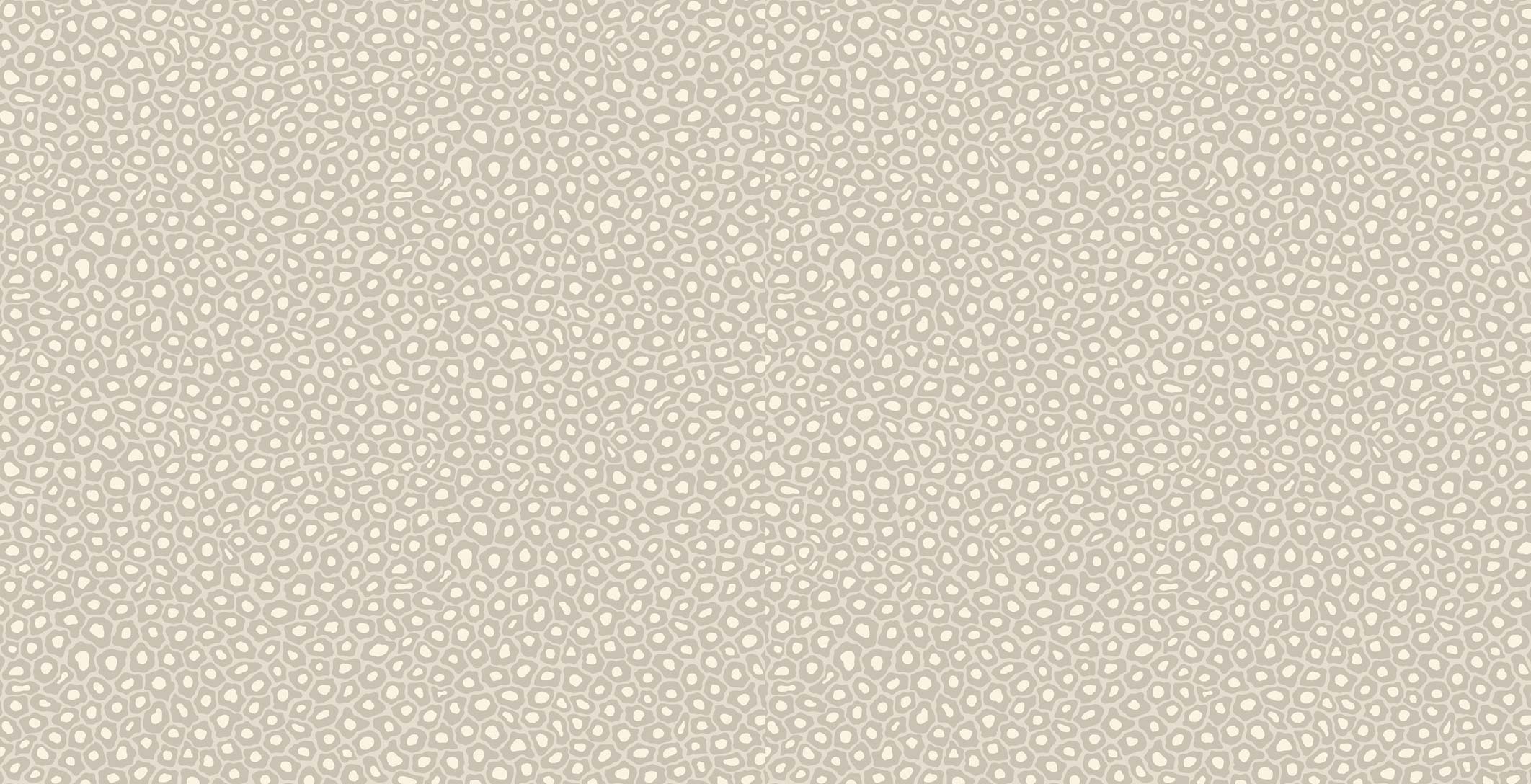 Cole & Son Ardmore Collection Senzo Spot Wallpaper - Stone & White - 6030