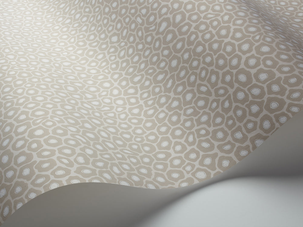 Cole & Son Ardmore Collection Senzo Spot Wallpaper - Stone & White - 6030