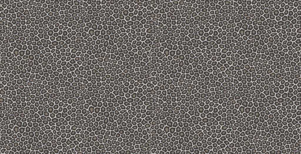 Cole & Son Ardmore Collection Senzo Spot Wallpaper - Black & White - 6031