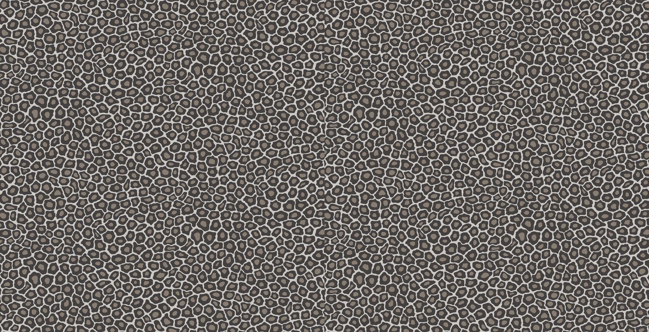 Cole & Son Ardmore Collection Senzo Spot Wallpaper - Black & White - 6031