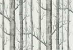 Cole & Son New Contemporary: The Woods Wallpaper Black On White 69/12147