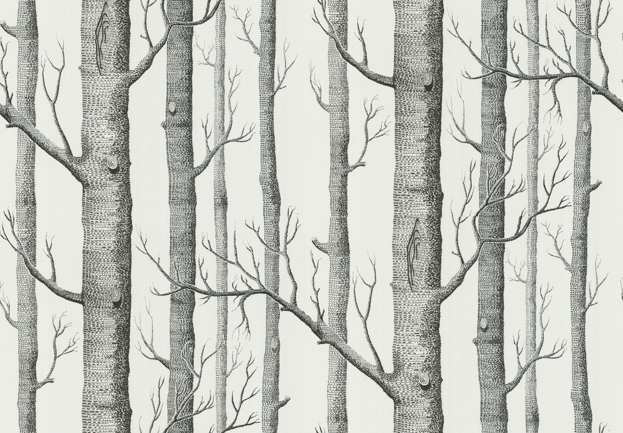 Cole & Son New Contemporary: The Woods Wallpaper Black On White 69/12147