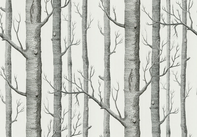 Cole & Son New Contemporary: The Woods Wallpaper Black On White 69/12147