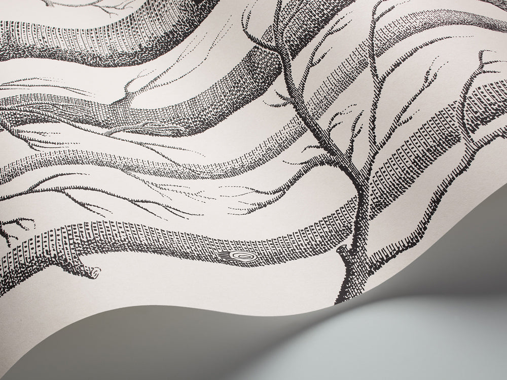 Cole & Son New Contemporary: The Woods Wallpaper Black On White 69/12147