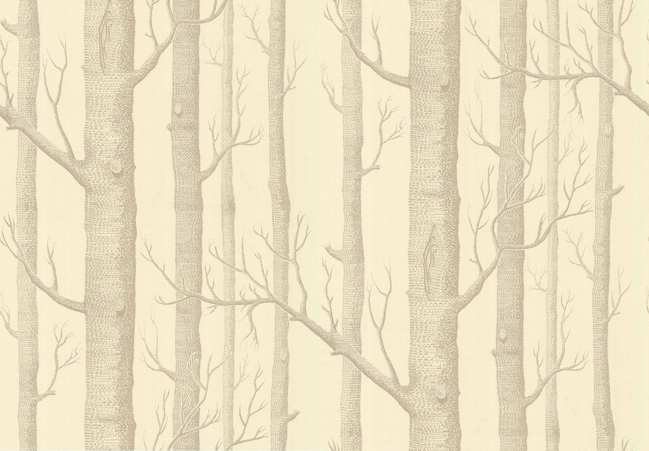 Cole & Son New Contemporary: The Woods Wallpaper Linen on Cream 69/12148