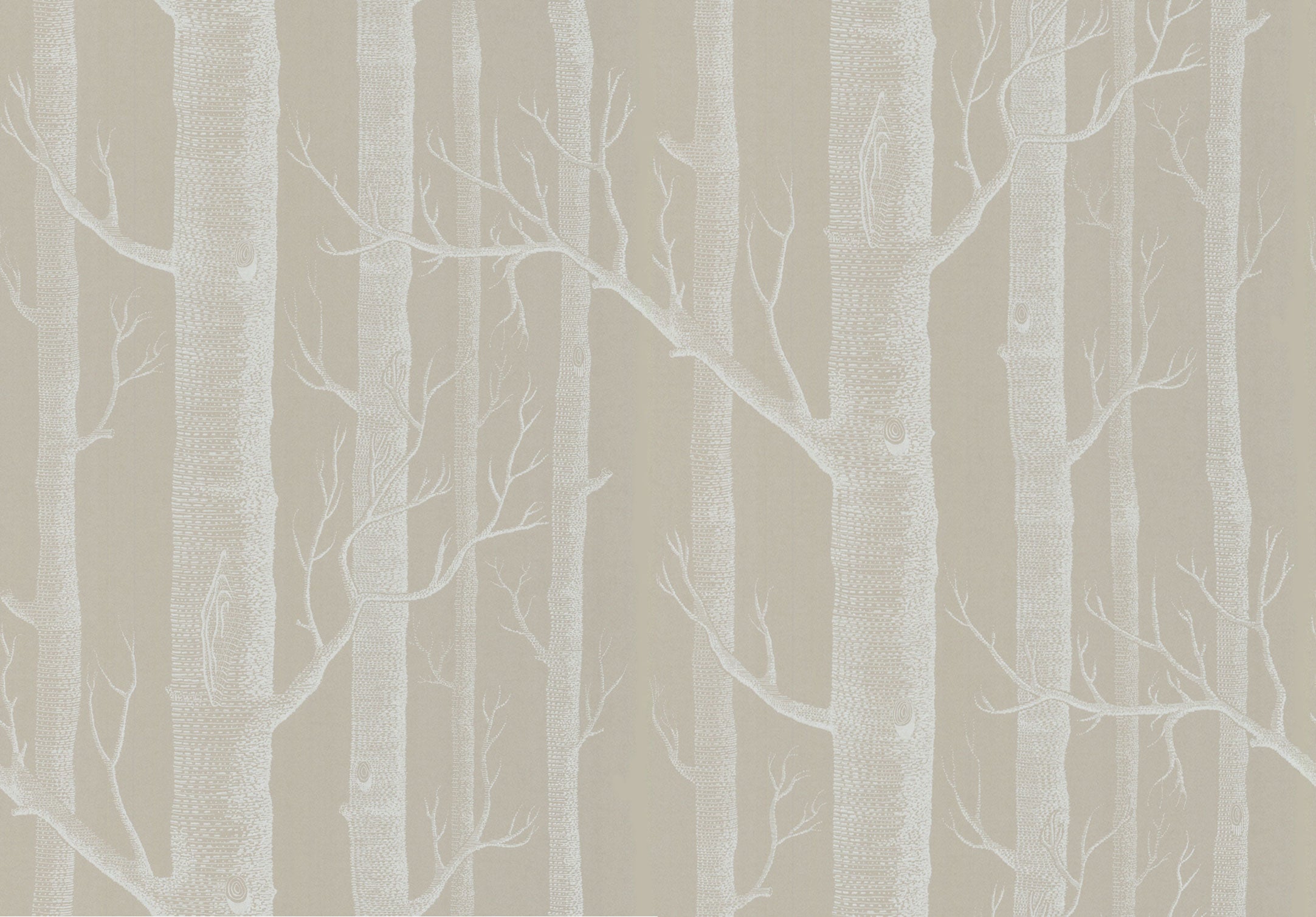 Cole & Son New Contemporary: The Woods Wallpaper White on Old Olive 69/12149