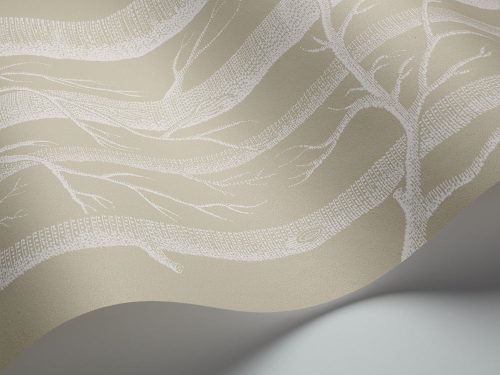 Cole & Son New Contemporary: The Woods Wallpaper White on Old Olive 69/12149