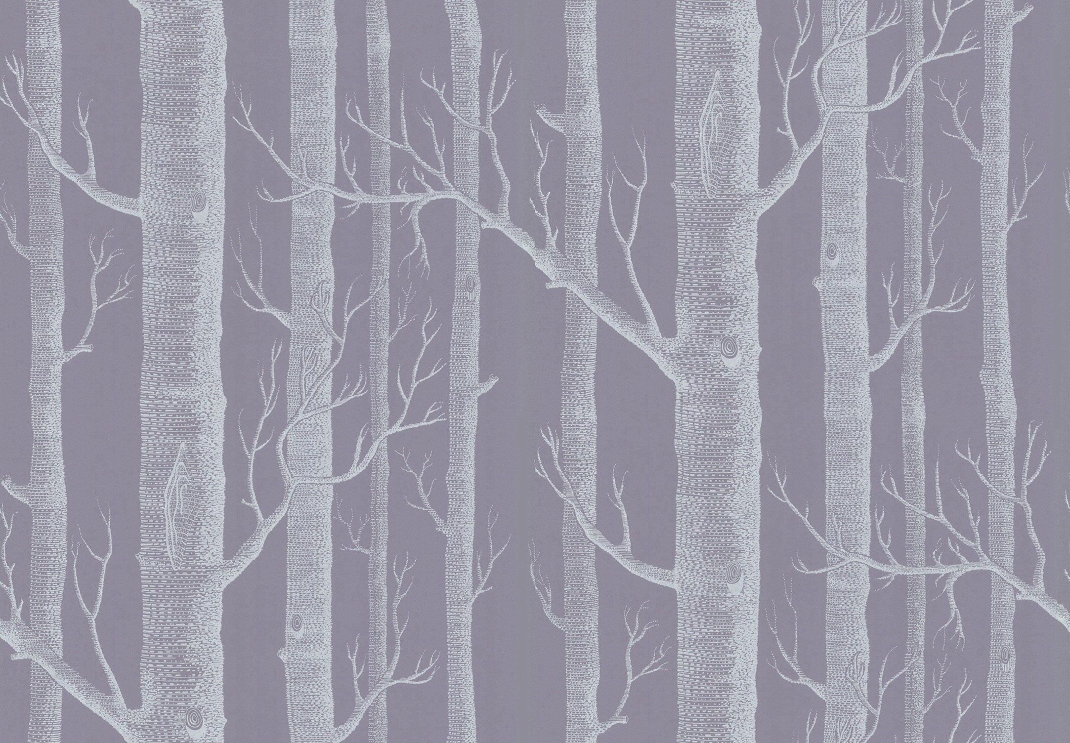 Cole & Son New Contemporary: The Woods Wallpaper White on Lilac Grey 69/12151