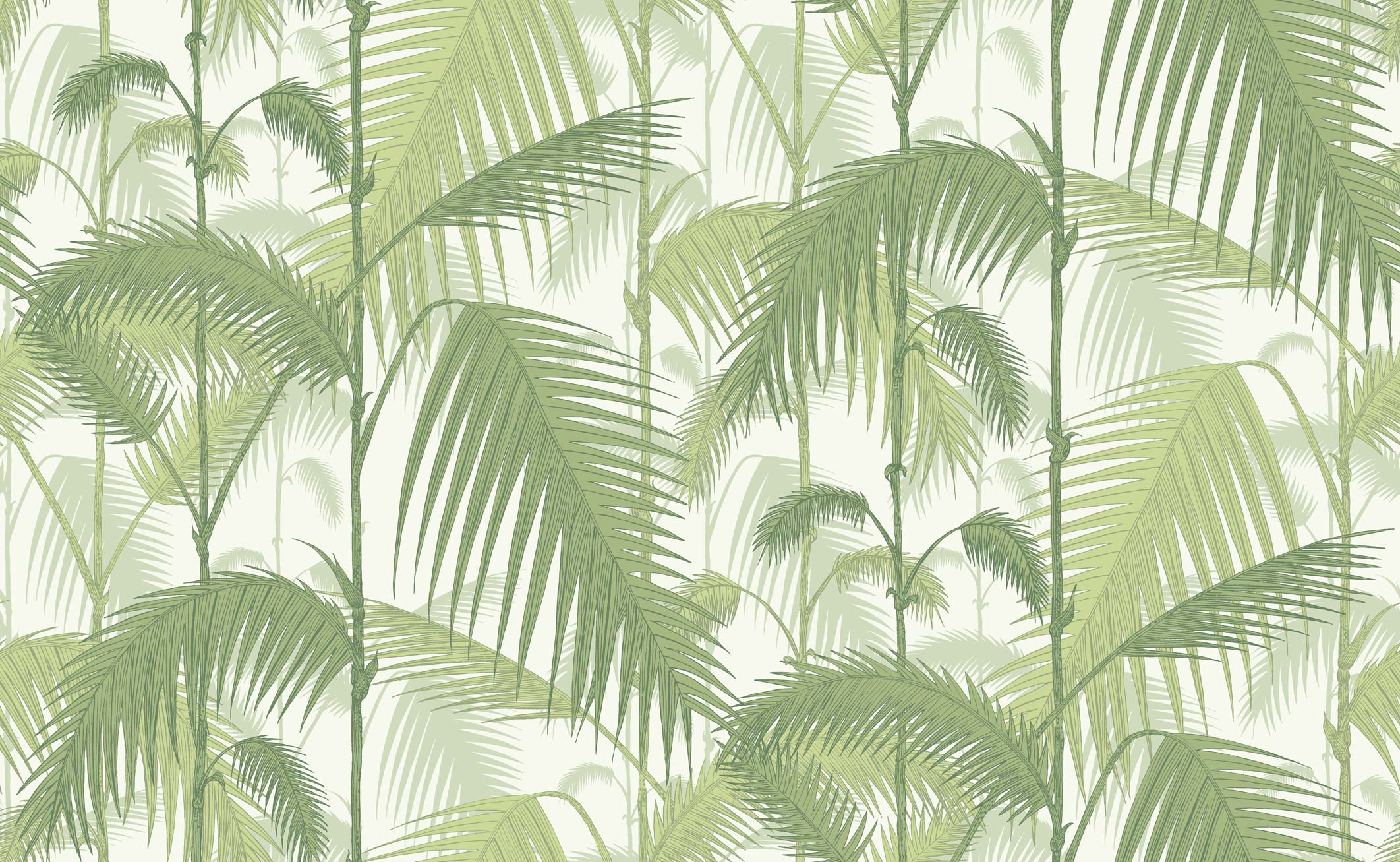 Cole & Son Palm Jungle wallpaper in Ivory & Green 95/1001