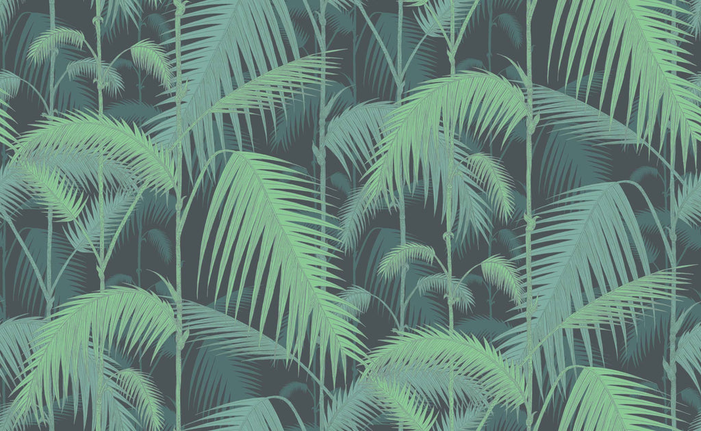 cole & son contemporary restyled palm jungle