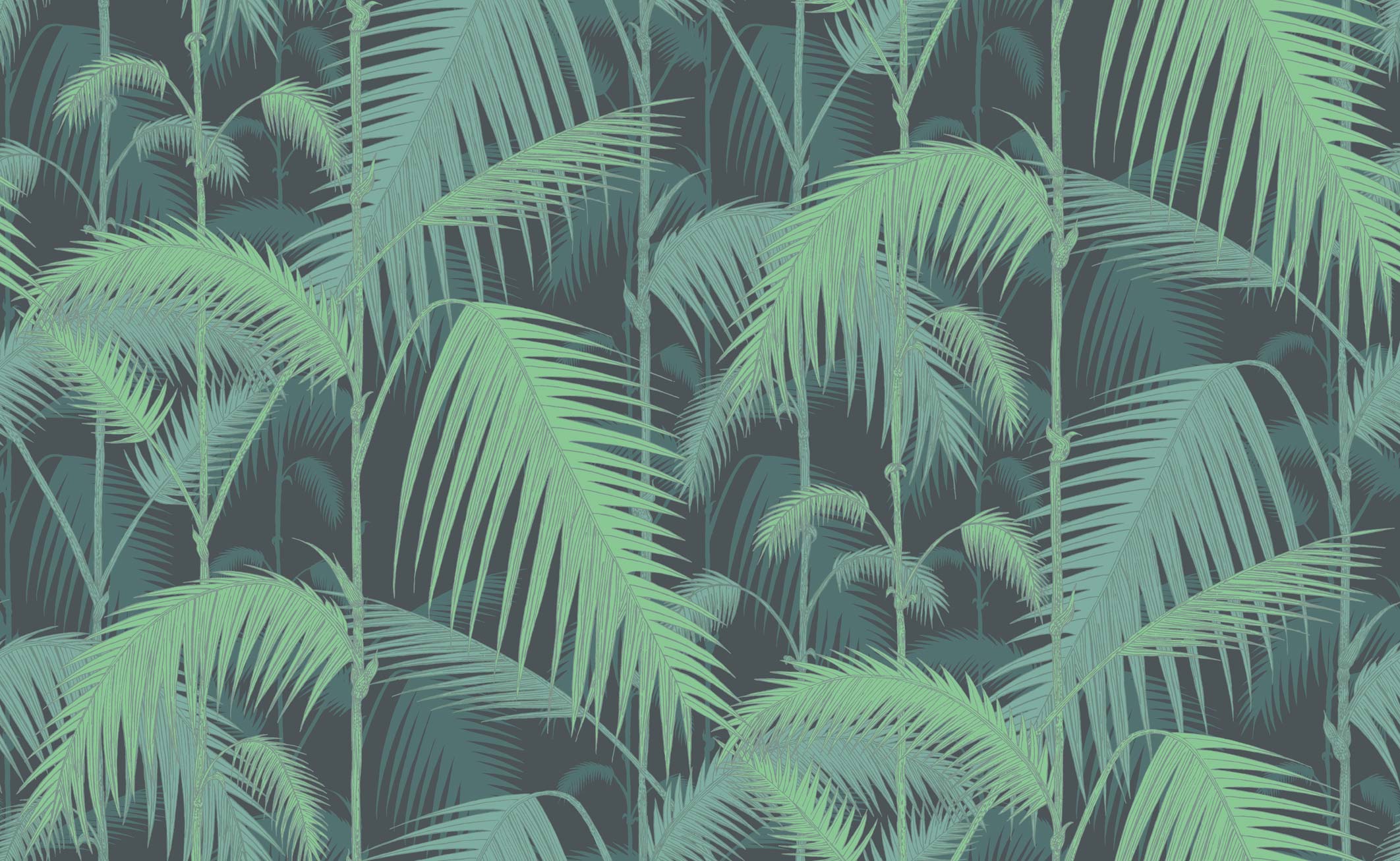 cole & son contemporary restyled palm jungle