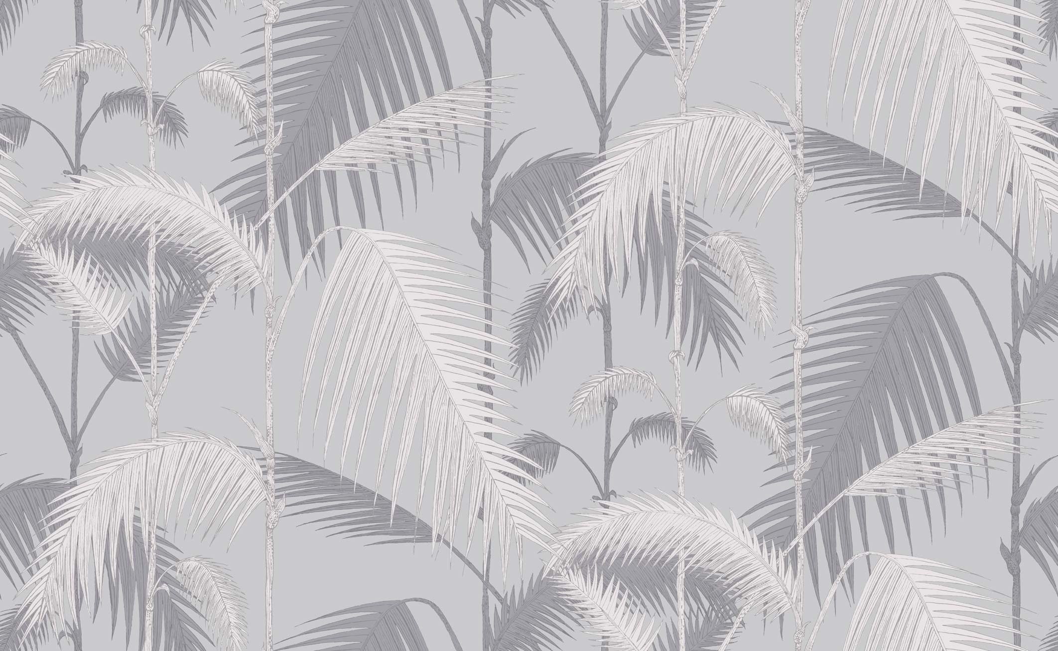 Cole & Son Palm Jungle wallpaper in Silver 95/1007