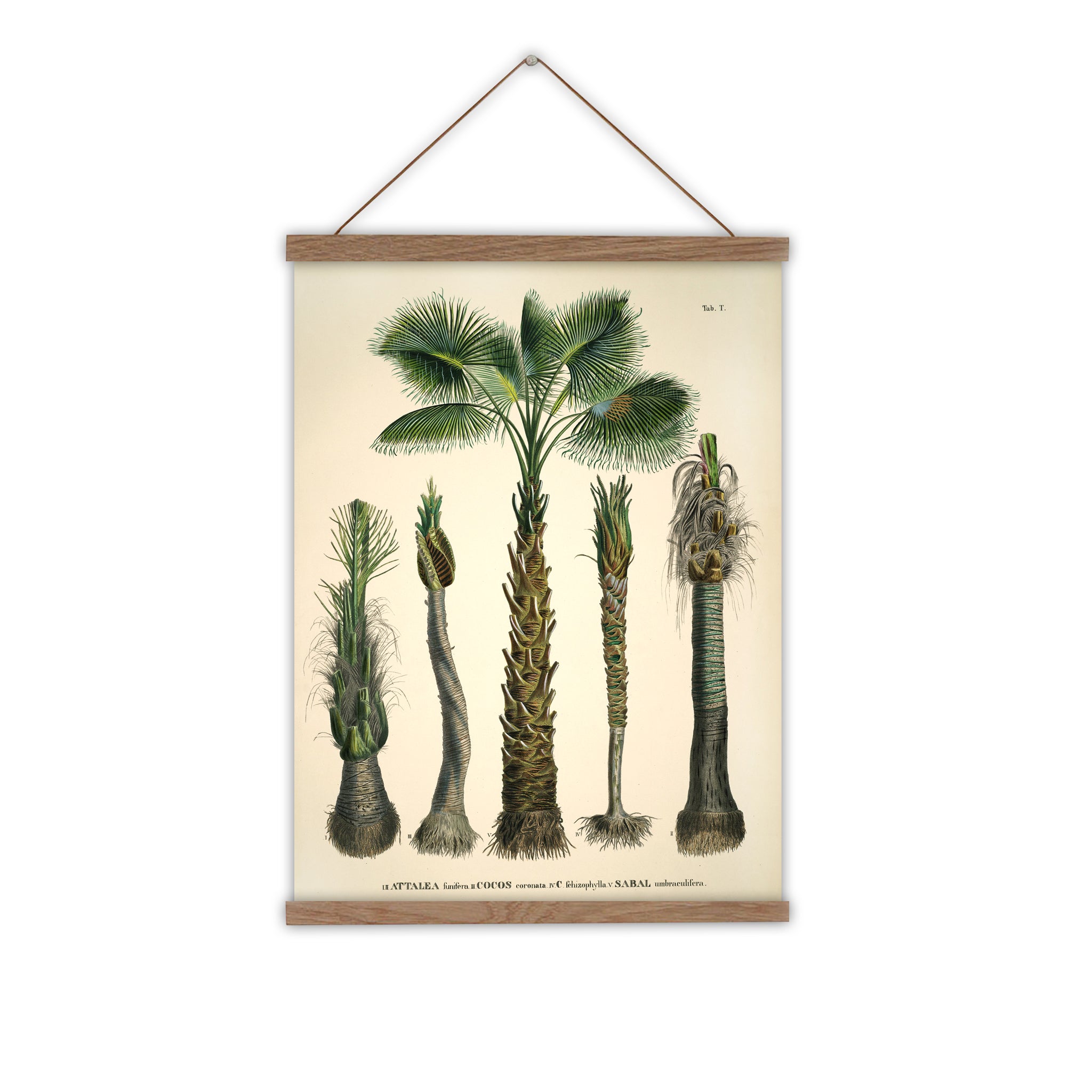 Coconut Palms Wall Hanging
