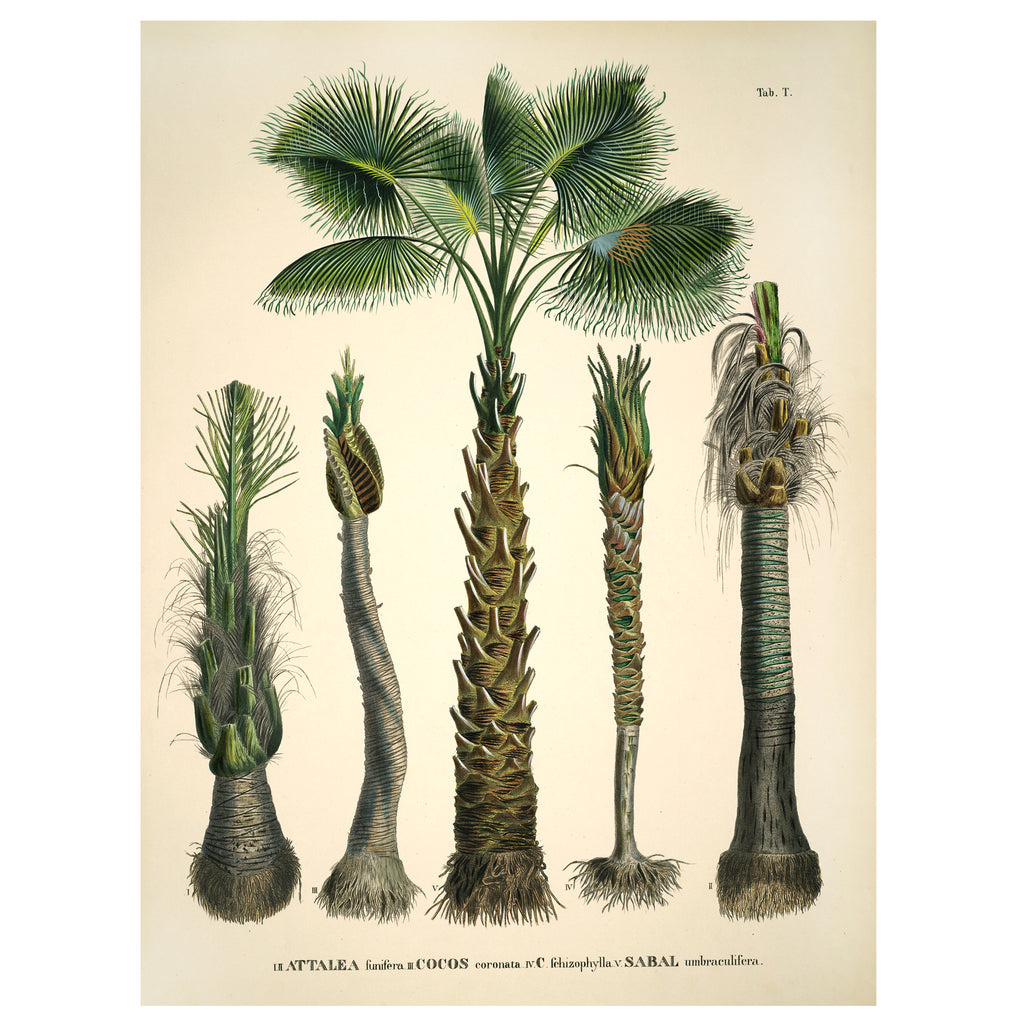 love-frankie-coconut-palms-wall-hanging