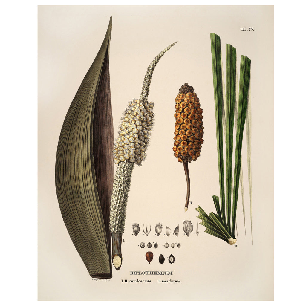 Botanical Wall Hanging