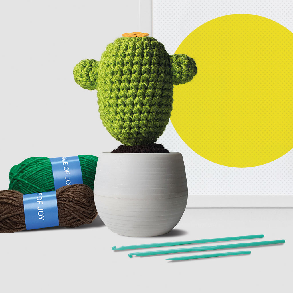 Crochet Cactus Kit