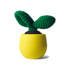 Cacti Leaf Crochet Kit