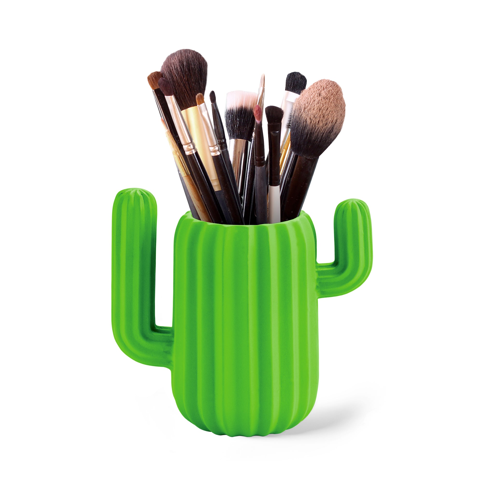 Magnetic Cactus Desk Organiser