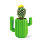 Magnetic Cactus Desk Organiser