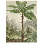 love-frankie-seychelles-palm-canvas-wall-chart