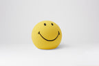 The Mini Smiley Face Lamp