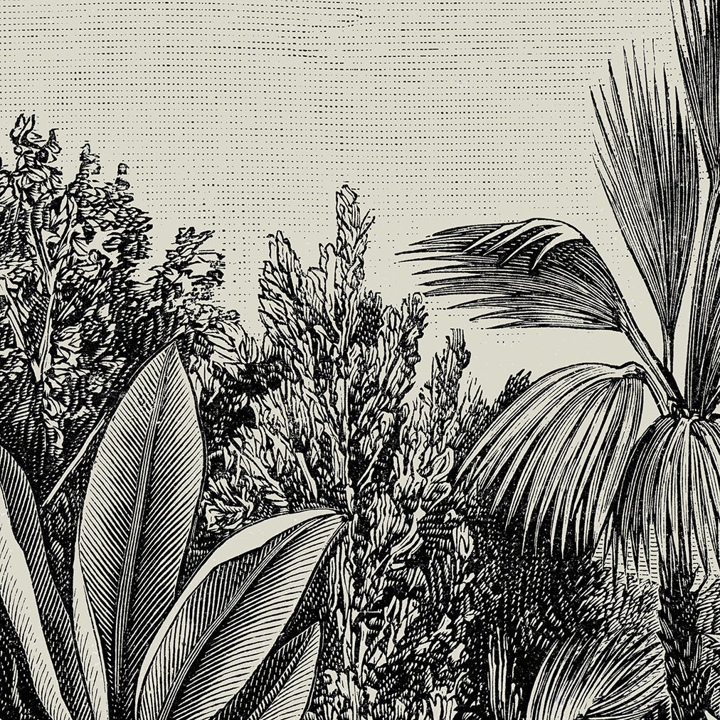 Ecocene Monochrome Desert Wall Hanging