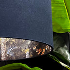 love frankie flight of the cranes silhouette lampshade in deep space