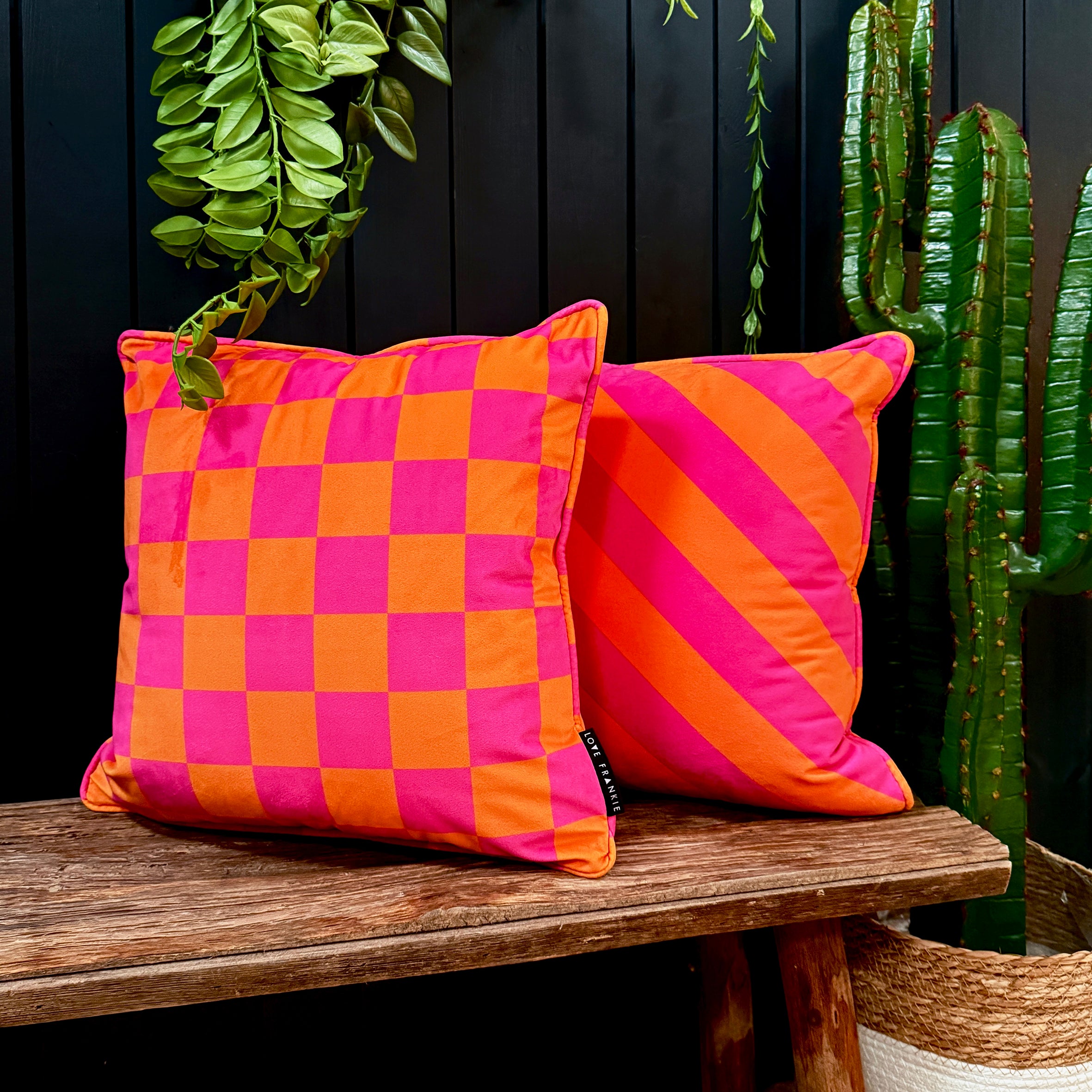 Colourful Love Frankie cushions, one checkered and one striped, on a wooden surface with plants in the background.