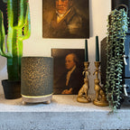 Thyme Green Boucle Cordless Lamp - 2 Sizes available