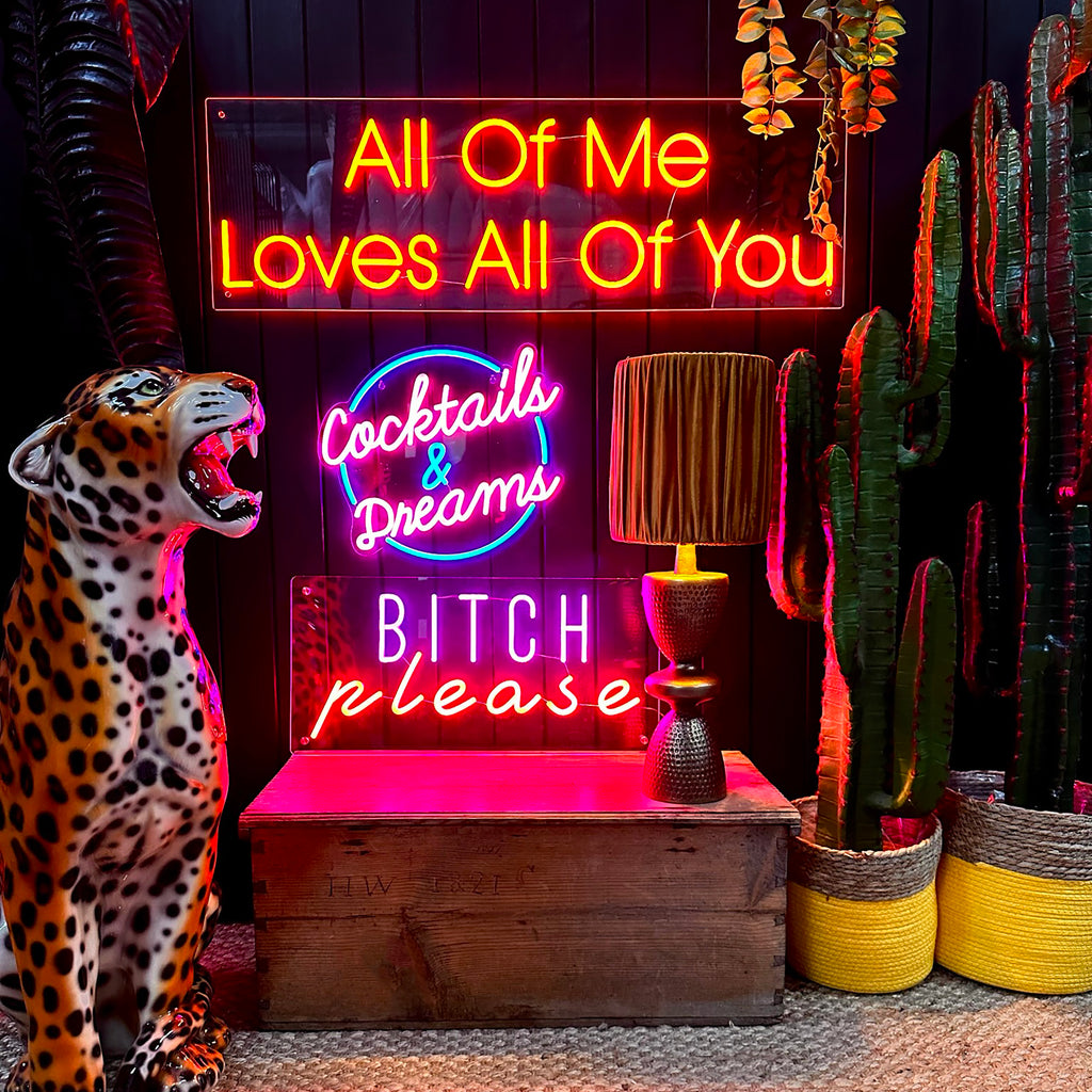 Love Frankie all of me loves all of you neon light in red