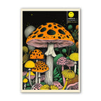 Pipe Dream Psychedelic Mushroom Print Poster by Love Frankie