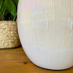 Ridged Table Lamp in Bone