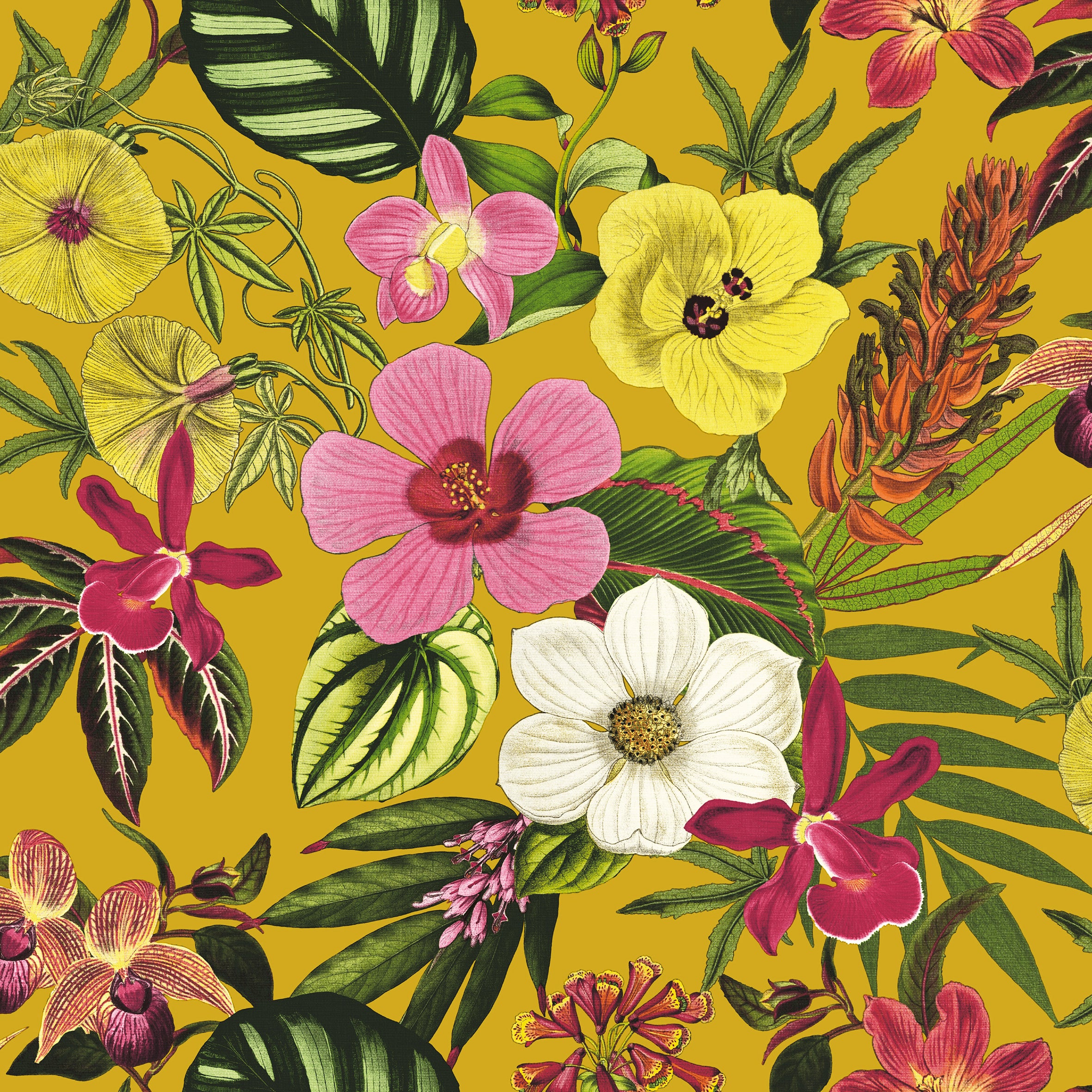 Love Frankie witch hazel botanical garden wallpaper