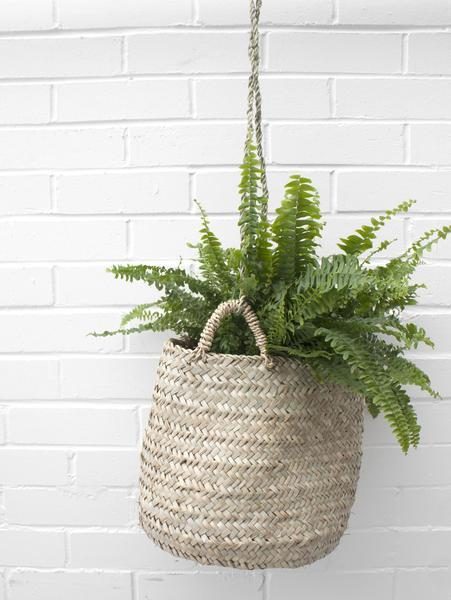Plam Leaf Hanging Basket