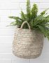 Plam Leaf Hanging Basket