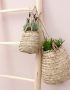Plam Leaf Hanging Basket