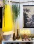 love-frankie-sunshine-yellow-king-cone