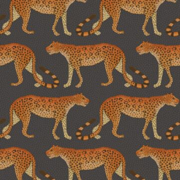 Cole & Son Ardmore Collection: Leopard Walk - 109/2008 Charcoal and Orange