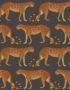 Cole & Son Ardmore Collection: Leopard Walk - 109/2008 Charcoal and Orange