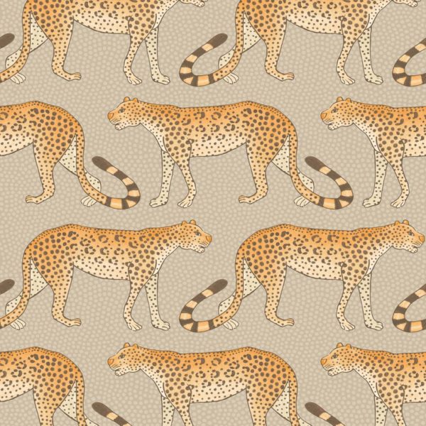 Cole & Son Ardmore Collection: Leopard Walk - 109/2010 Orange and Stone