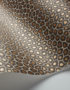 Cole & Son Ardmore Collection Senzo Spot Wallpaper - Brown and Gold - 6027