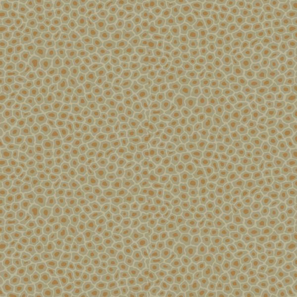 Cole & Son Ardmore Collection Senzo Spot Wallpaper - Olive - 6029