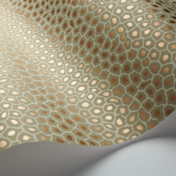 Cole & Son Ardmore Collection Senzo Spot Wallpaper - Olive - 6029