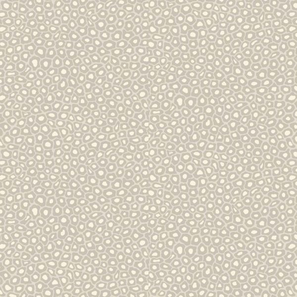 Cole & Son Ardmore Collection Senzo Spot Wallpaper - Stone & White - 6030