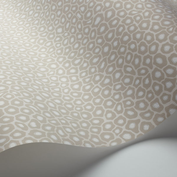 Cole & Son Ardmore Collection Senzo Spot Wallpaper - Stone & White - 6030